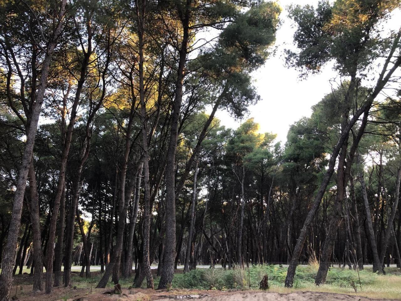 Vila Topi Vlorë エクステリア 写真